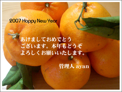 2007newyear.jpg