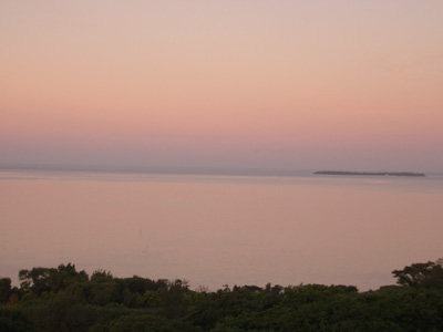 66.jpg