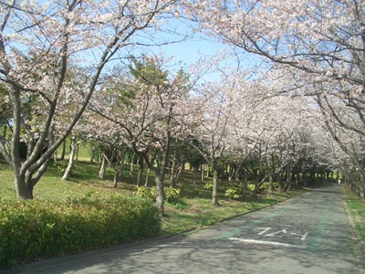 CIMG5891.jpg