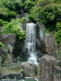 DSC00931.jpg