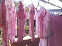 DSC01415.jpg