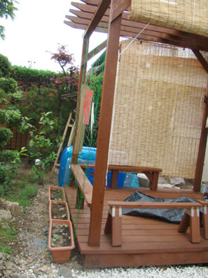 DSC01560.jpg