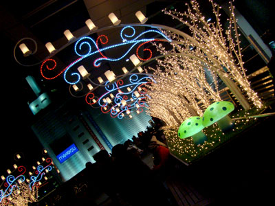 DSC02895.jpg