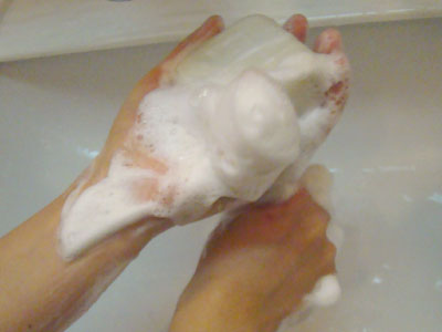 DSC03795.jpg