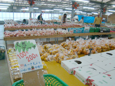 DSC04404.jpg