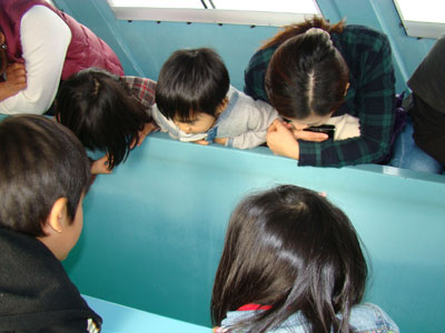 DSC04410.jpg