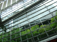 東京国際フォーラム