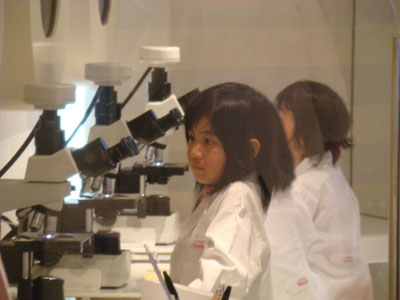 DSC05508.jpg