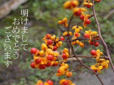 2011　明けましておめでとうございます