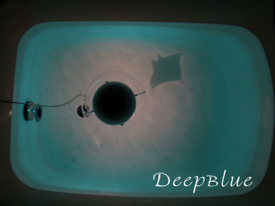 投影フィルム【DeepBlue】（ディープブルー）