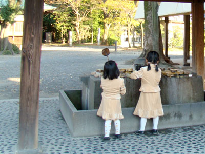 DSC08554.jpg