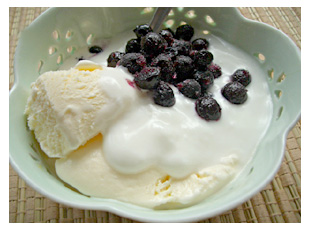 icecream-yogurt.jpg