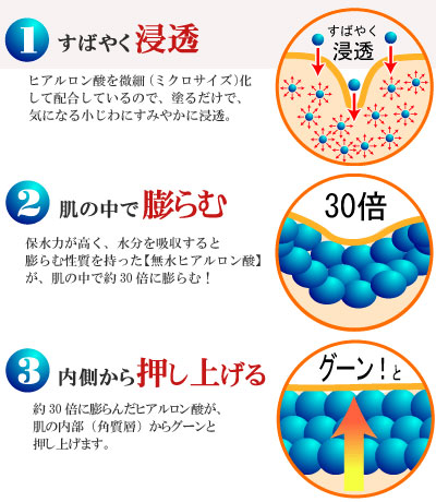 小林製薬 リアルラボ ミクロヒアルロン酸の肌内部での働きイメージ図