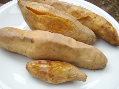 yakiimo200910.jpg