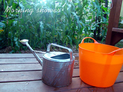 夏の水やりのポイント 家庭菜園 ガーデニング わらしべ暮らしのブログ