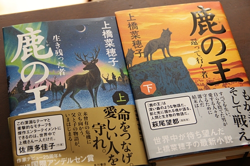 世界観をどっぷり楽しめるファンタジー小説　上橋菜穂子「鹿の王（上下）」