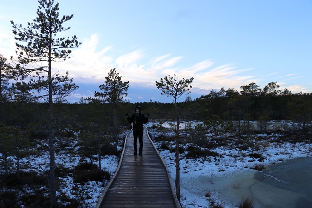 エストニアはタリン旧市街だけじゃない！豊かな自然が残るラヘマー国立公園 ヴィル湿原を歩く