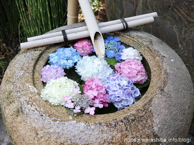 美裳神社(みもじんじゃ)の紫陽花